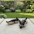 German Shepard Mini Flexi