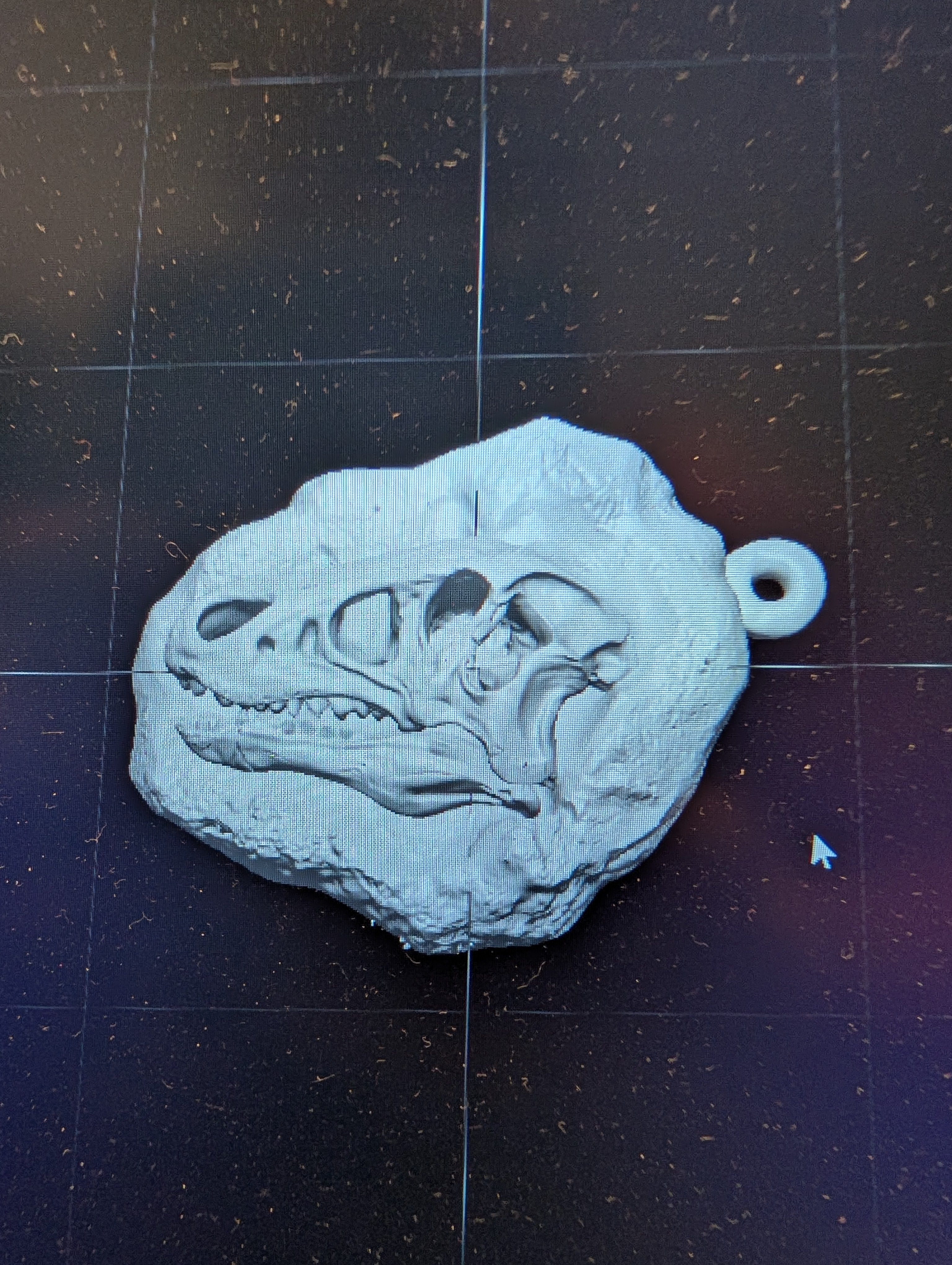 T-Rex Fossil Keyring
